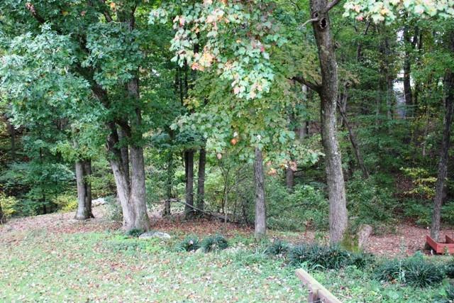 1309 Callaway Road Rocky Mount, VA 24151 - Photo 23 of 25 a big yard with lots of green space and trees