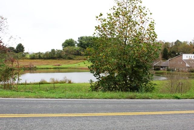 1309 Callaway Road Rocky Mount, VA 24151 - Photo 4 of 25 a view of a yard