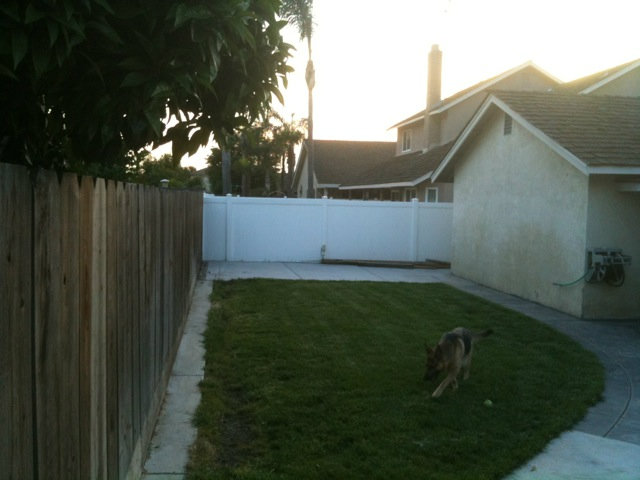 1664 Davis Street Ripon, CA 95366 - Photo 8 of 8 a view of a backyard