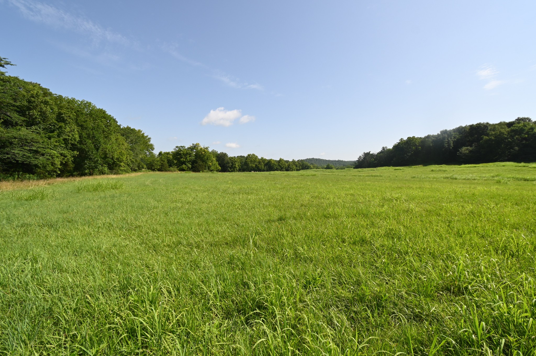 0 Culps Bend Road Clifton, TN 38425 - Photo 33 of 41