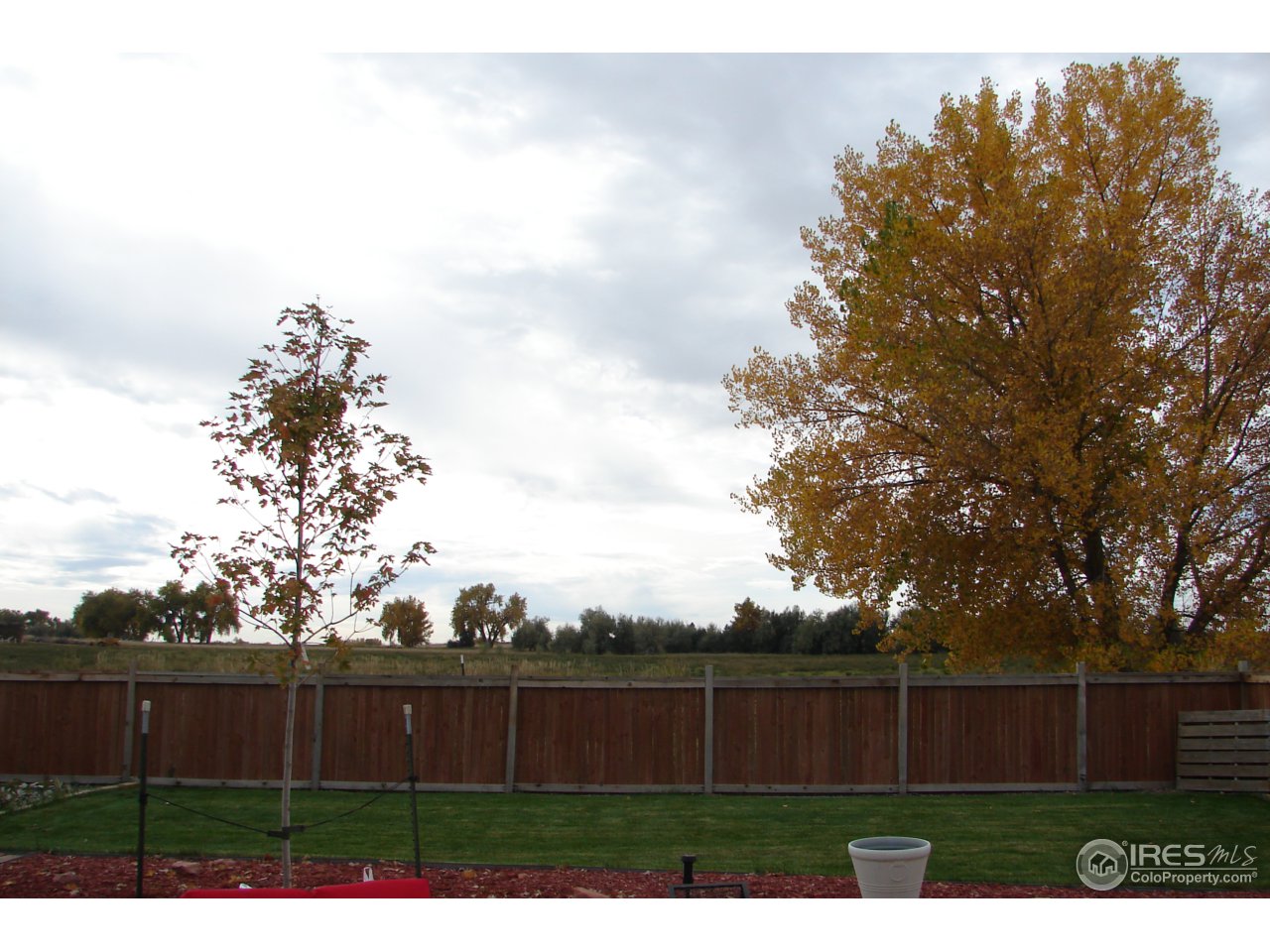 7318 23rd St Road Greeley, CO 80634 - Photo 19 of 25 Open Space