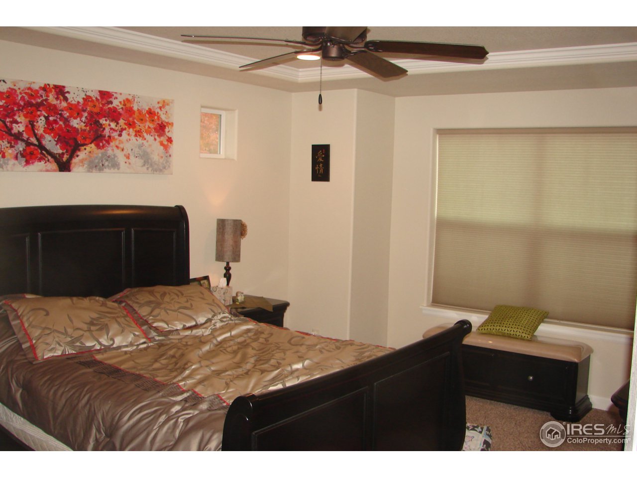 7318 23rd St Road Greeley, CO 80634 - Photo 8 of 25 Master