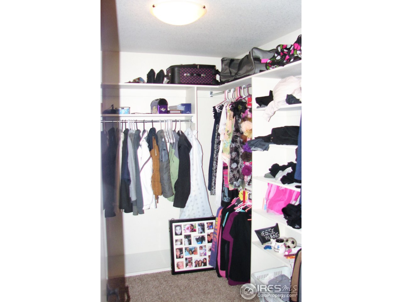 7318 23rd St Road Greeley, CO 80634 - Photo 9 of 25 Master Closet