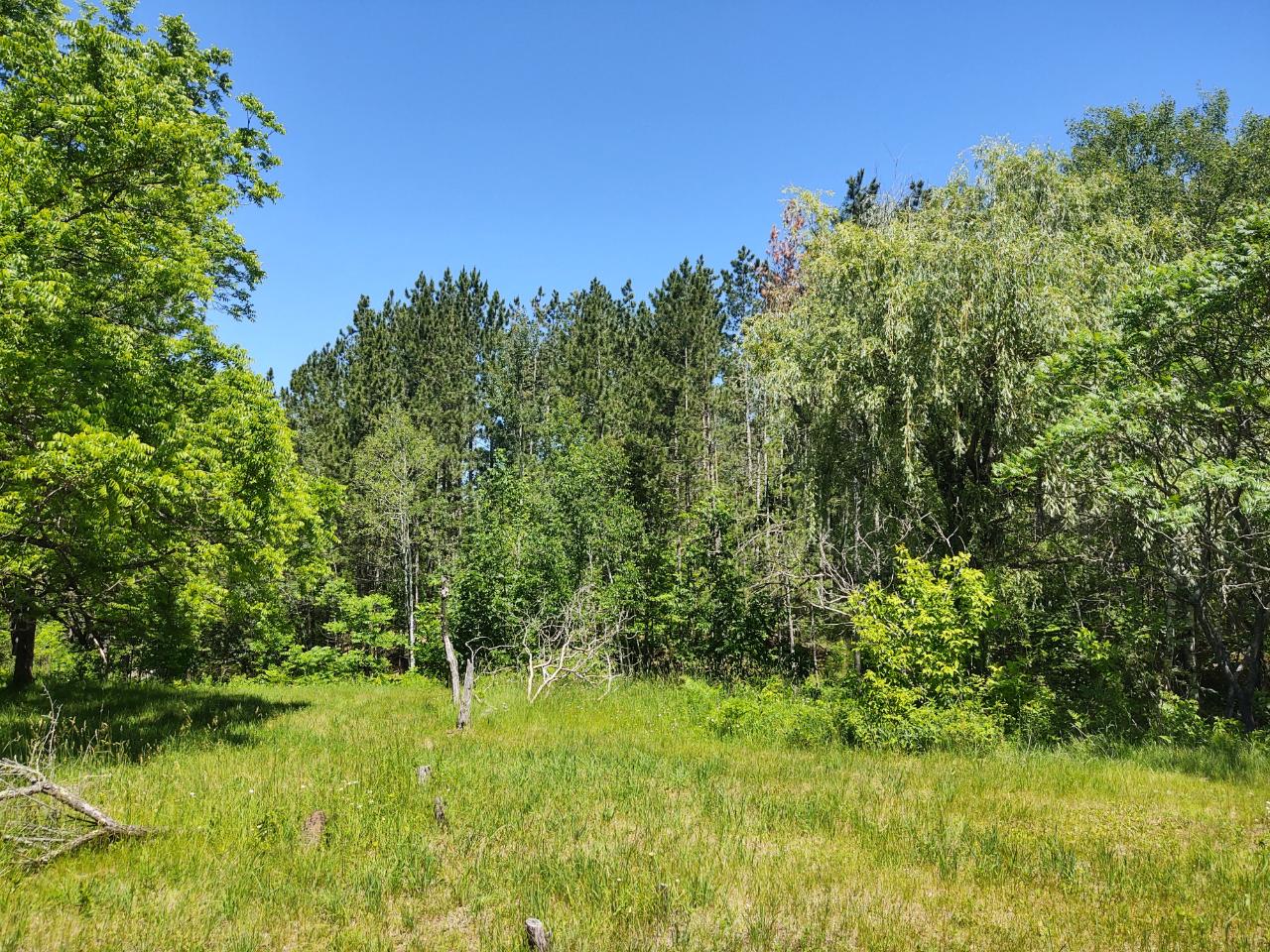 39534 Dyrness Road High Bridge, WI 54846 - Photo 8 of 13 Gallery Image 8