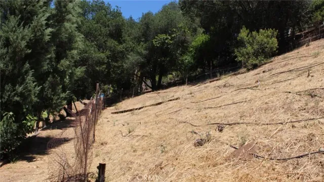 a view of a backyard of the house