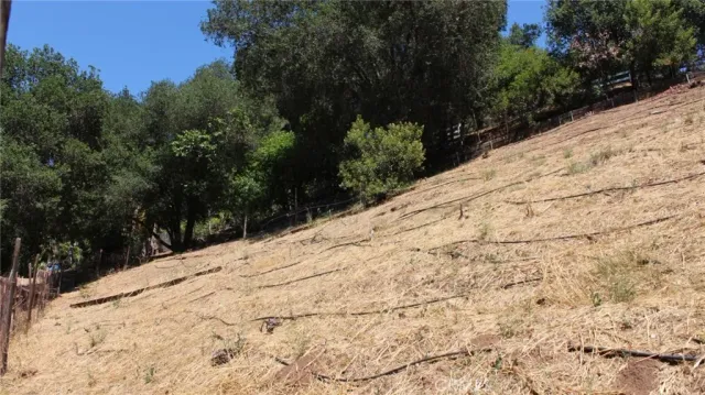 a view of outdoor space and yard