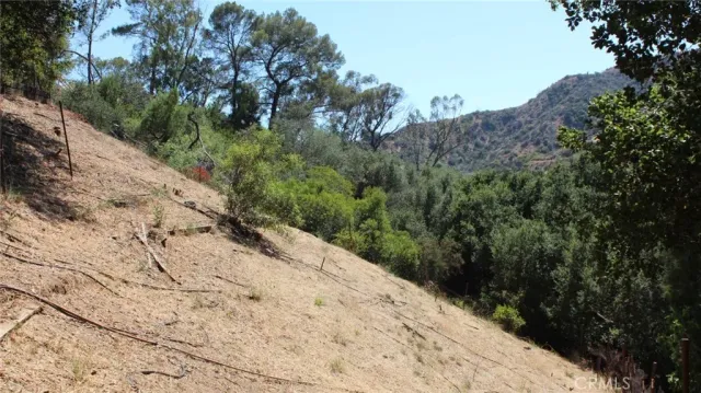 a view of an outdoor space with a tree