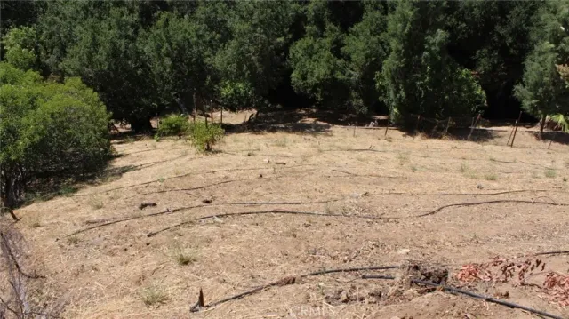 a view of a yard with wooden fence