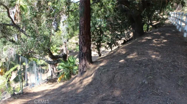 a view of outdoor space and yard