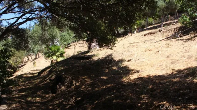 a view of a yard with snow on the road