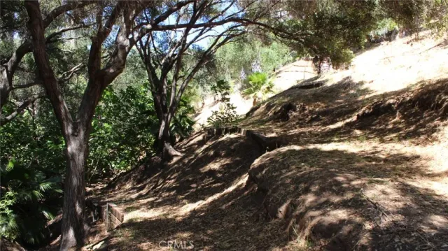a view of outdoor space with yard