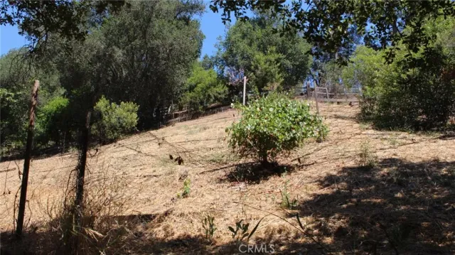 a view of a backyard of the house