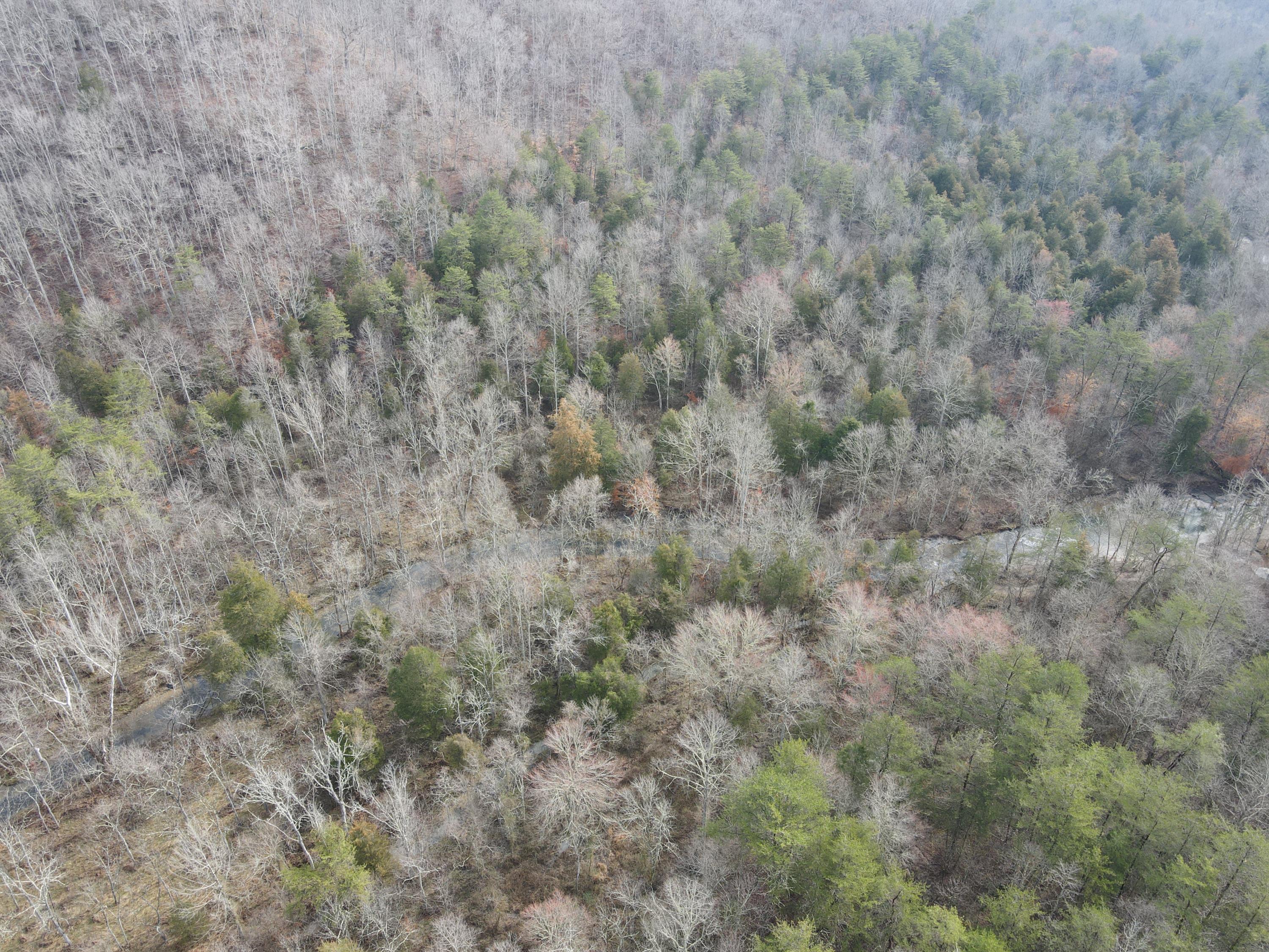 551 Porter Creek Road Nancy, KY 42544 - Photo 12 of 45 DJI_0939