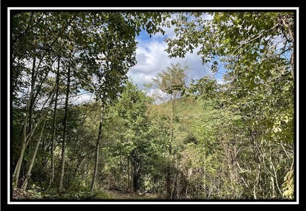 0 Clary Road, Unit TRACT 2) Ray, OH 45672 - Photo 27 of 32 image027