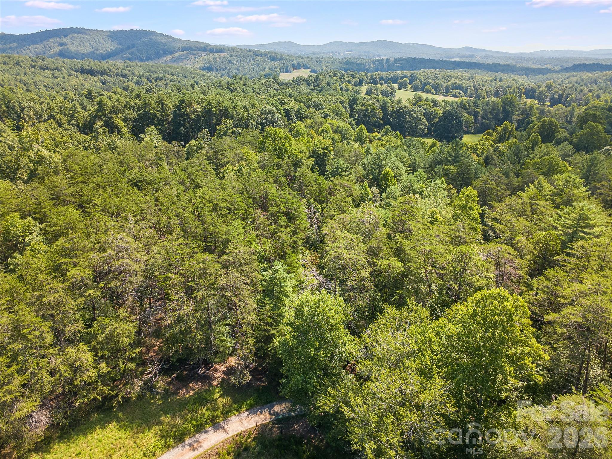0 Burns Road Granite Falls, NC 28630 - Photo 28 of 33
