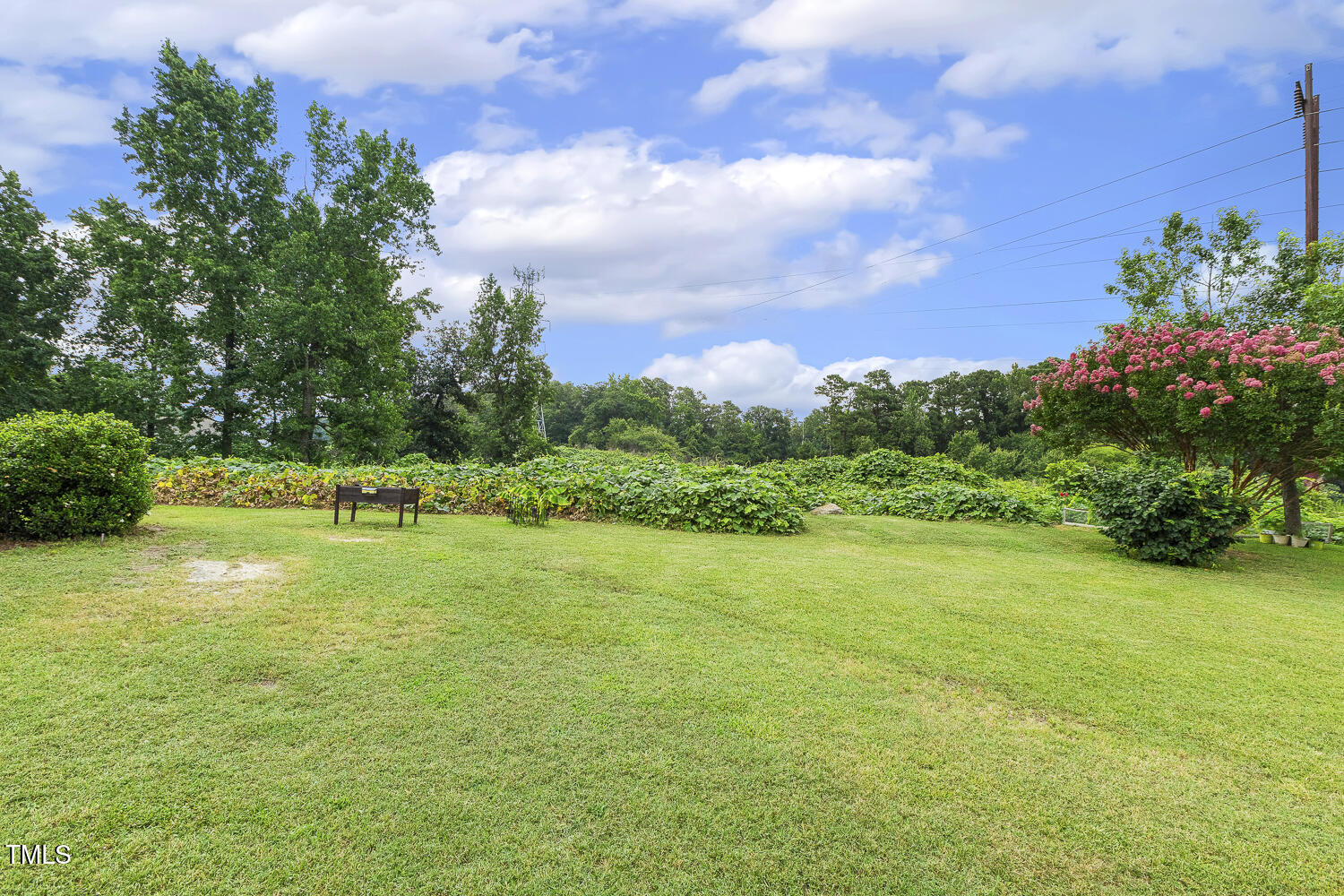2012 Summer Shire Way Raleigh, NC 27604 - Photo 35 of 43 Even a Little Raised Garden in Back!