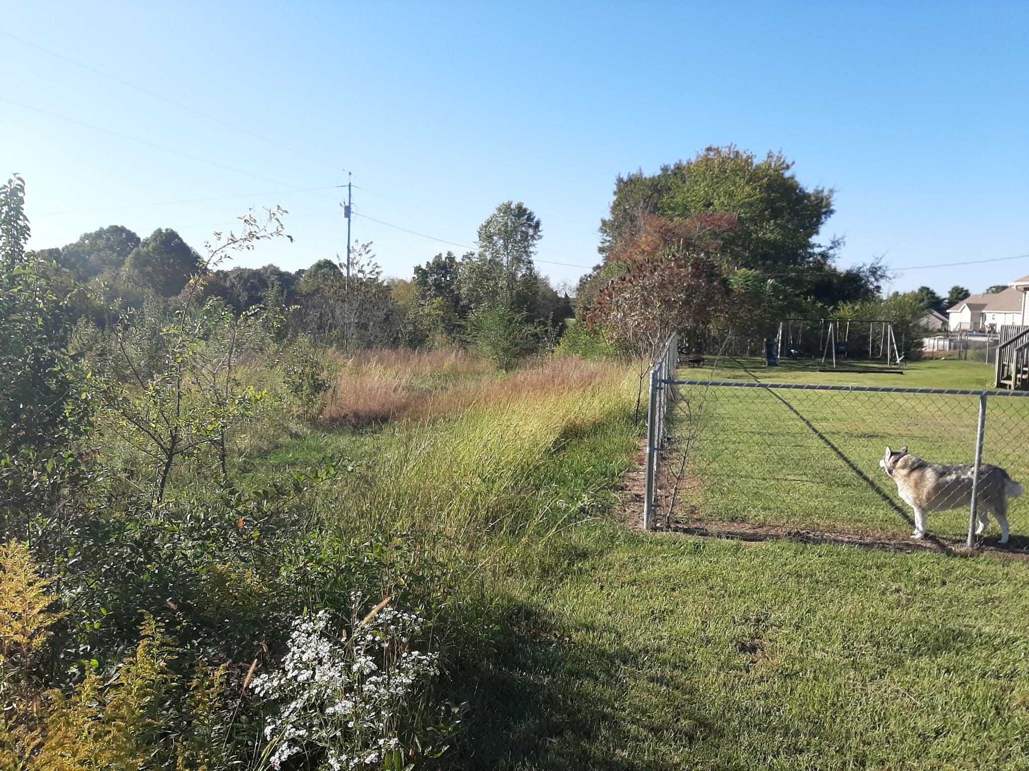 12 Shady Grove Cemetery Road Flintville, TN 37335 - Photo 7 of 34 Gallery Image 7