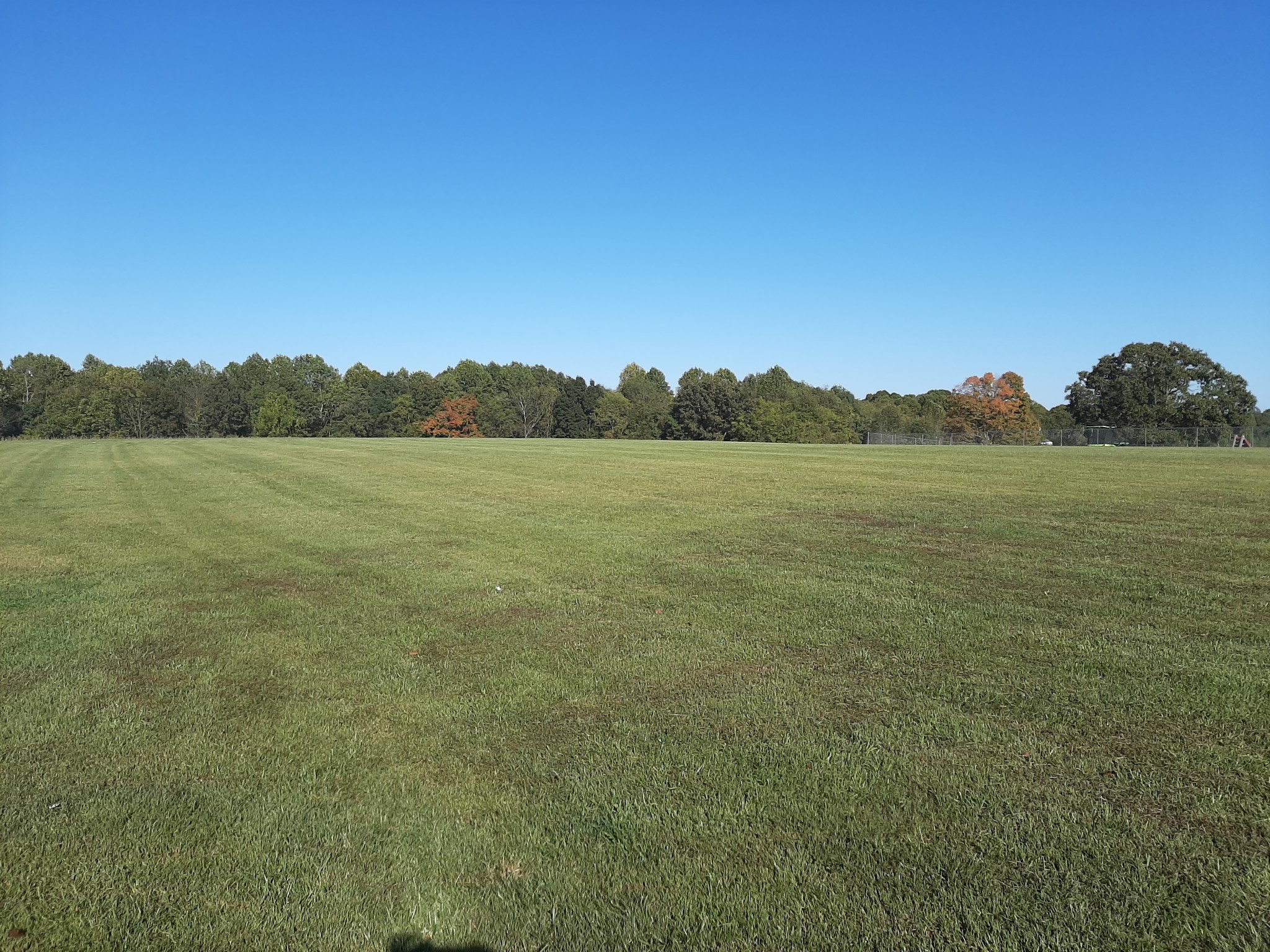 12 Shady Grove Cemetery Road Flintville, TN 37335 - Photo 10 of 34 Gallery Image 10