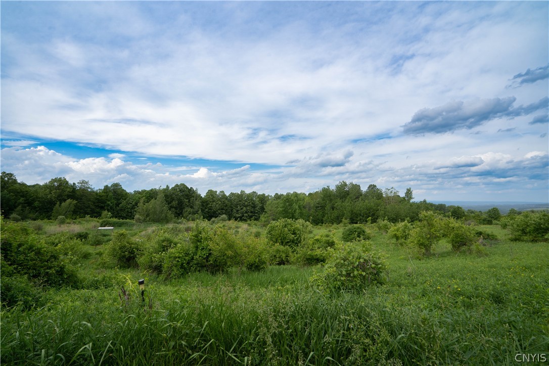 385 Johnnycake Road Little Falls, NY 13365 - Photo 25 of 35
