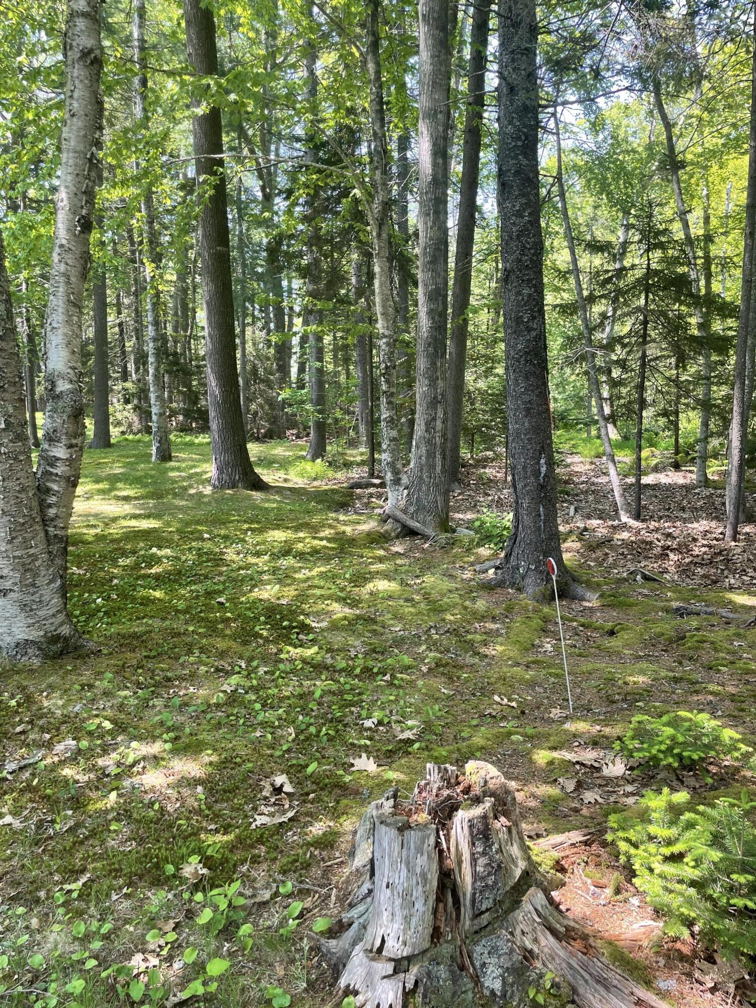 386 Lower Flying Point Road Freeport, ME 04032 - Photo 16 of 21 IMG_8224