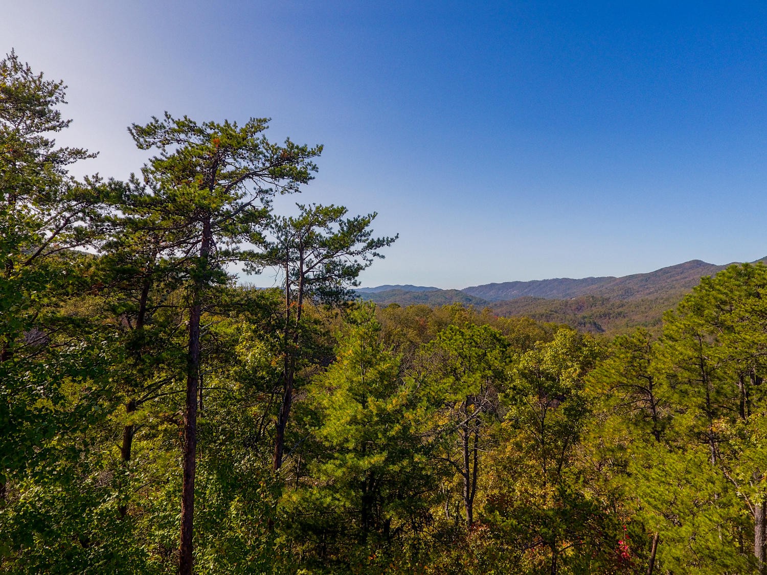 5039 Long Rifle Road Walland, TN 37886 - Photo 3 of 10 Gallery Image 3
