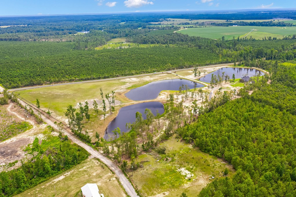 668 Firetower Road Neeses, SC 29107 - Photo 29 of 30 Aerial view