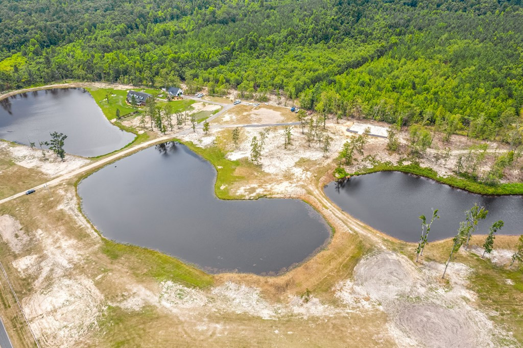 668 Firetower Road Neeses, SC 29107 - Photo 30 of 30 Aerial view