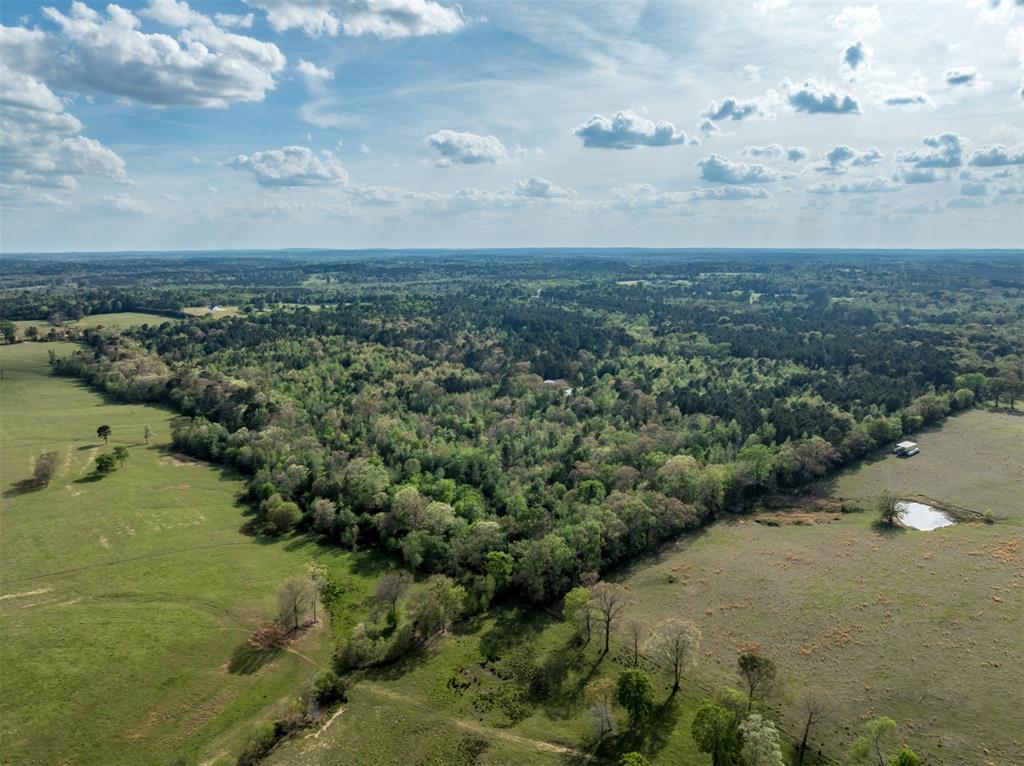 0 White Tail Road Gilmer, TX 75644 - Photo 11 of 11