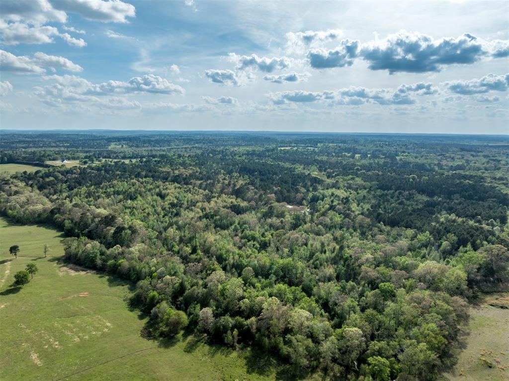 0 White Tail Road Gilmer, TX 75644 - Photo 6 of 11