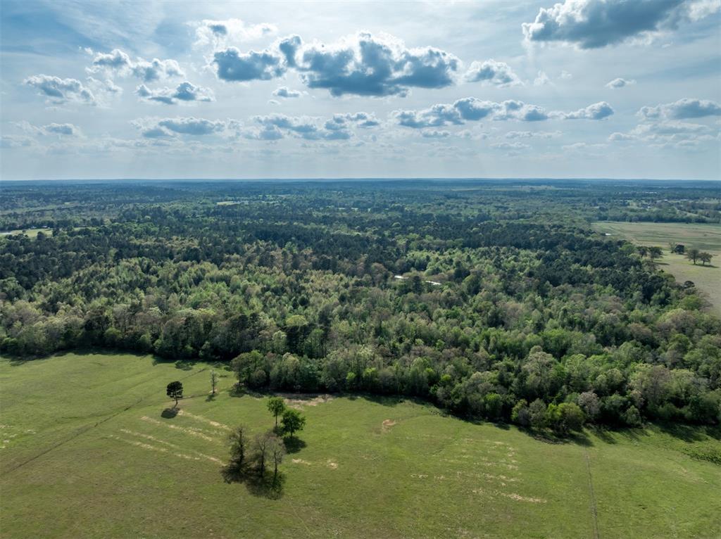 0 White Tail Road Gilmer, TX 75644 - Photo 7 of 11