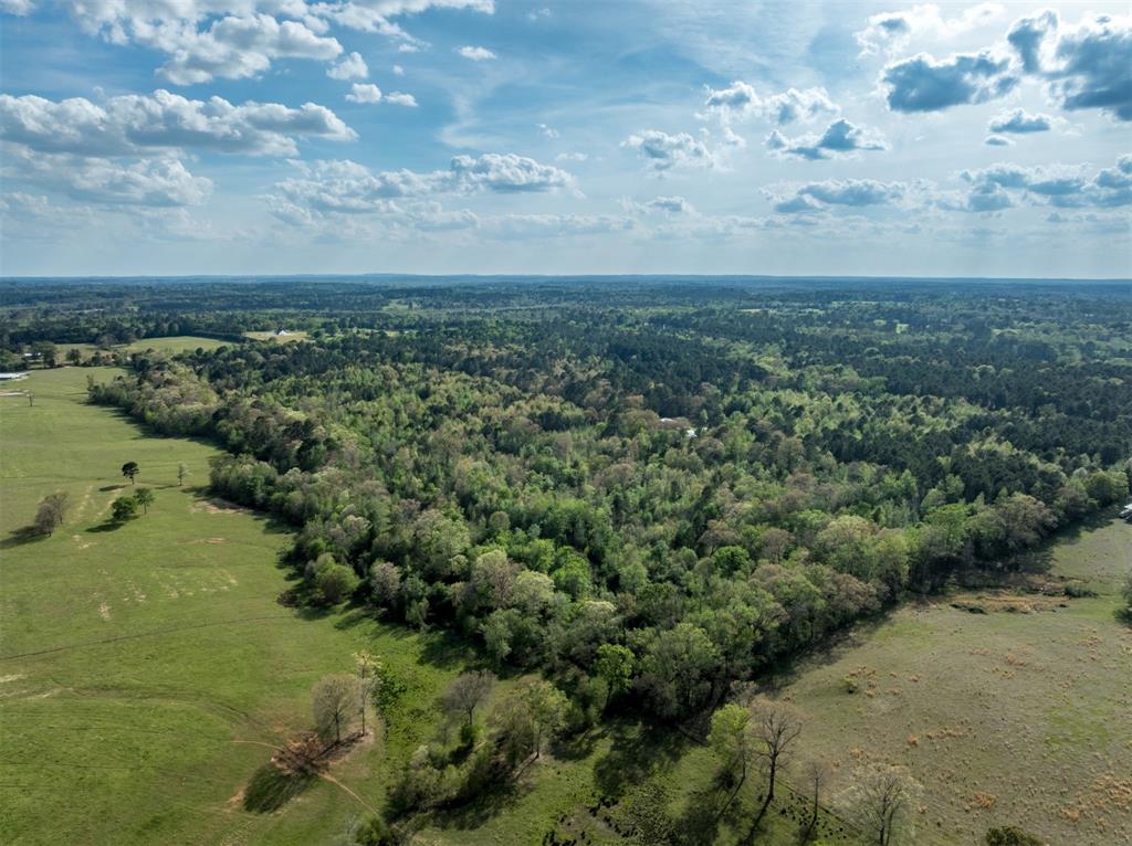 0 White Tail Road Gilmer, TX 75644 - Photo 8 of 11