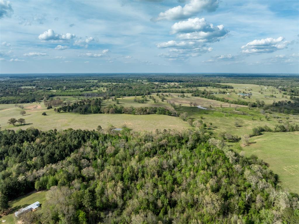 0 White Tail Road Gilmer, TX 75644 - Photo 10 of 11