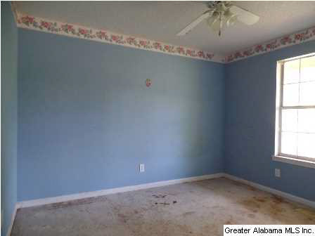 7300 Plantation Road Pinson, AL 35126 - Photo 8 of 12