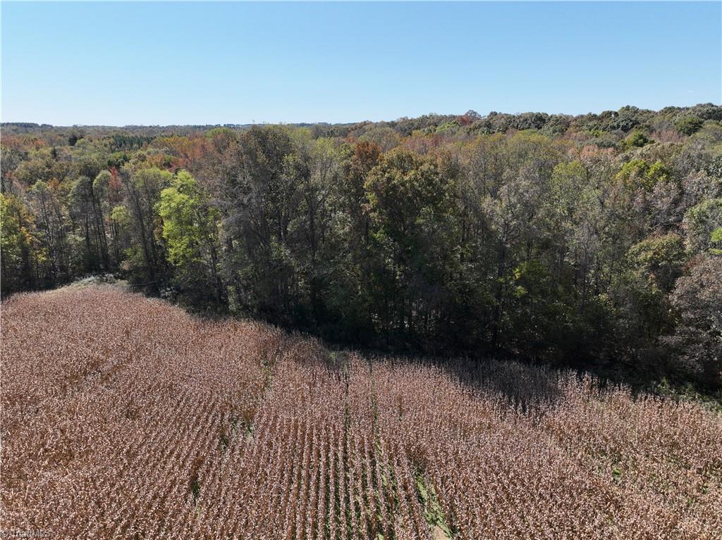 460 Mr Henry Road Mocksville, NC 27028 - Photo 4 of 12 Field, woods edge