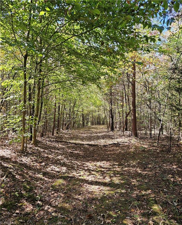 460 Mr Henry Road Mocksville, NC 27028 - Photo 6 of 12 Easement through wooded area