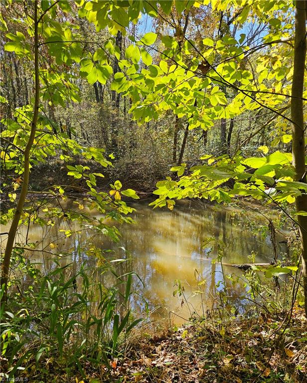 460 Mr Henry Road Mocksville, NC 27028 - Photo 9 of 12 S. Yadkin River