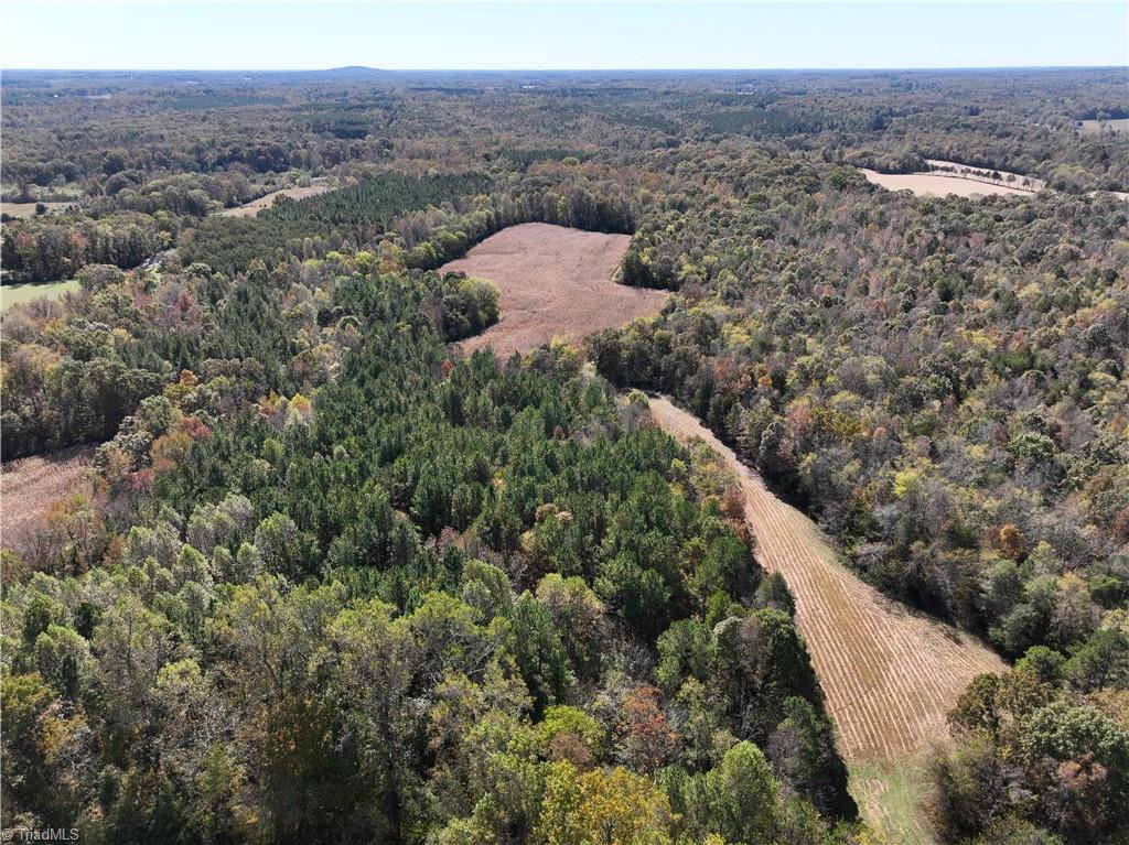 460 Mr Henry Road Mocksville, NC 27028 - Photo 10 of 12 Access easement and field facing south