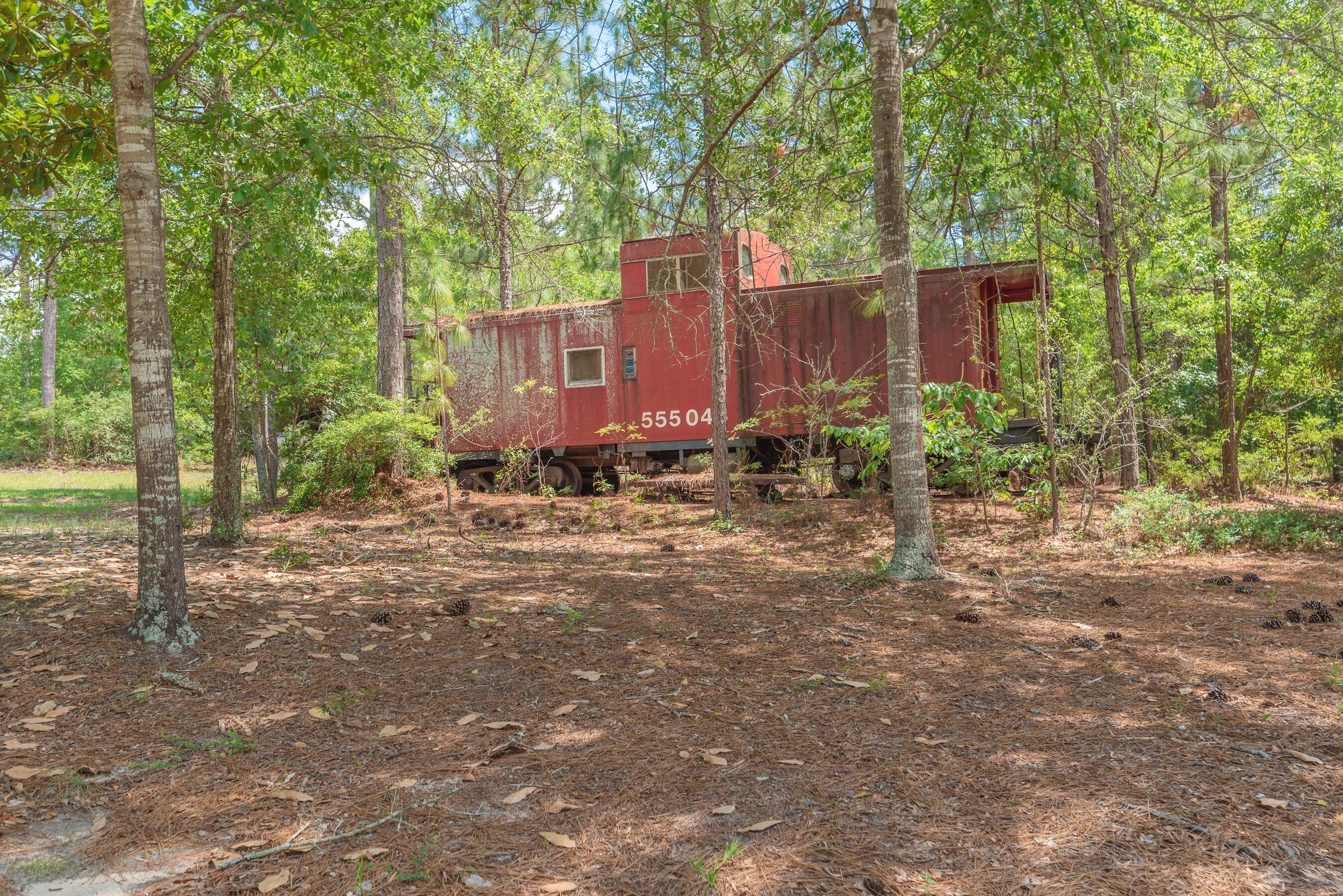 1366 Cummings Road Ridge Spring, SC 29129 - Photo 135 of 150