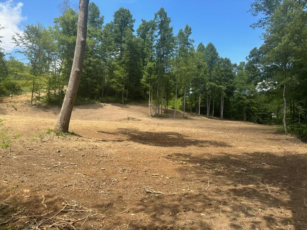 IMG_4205