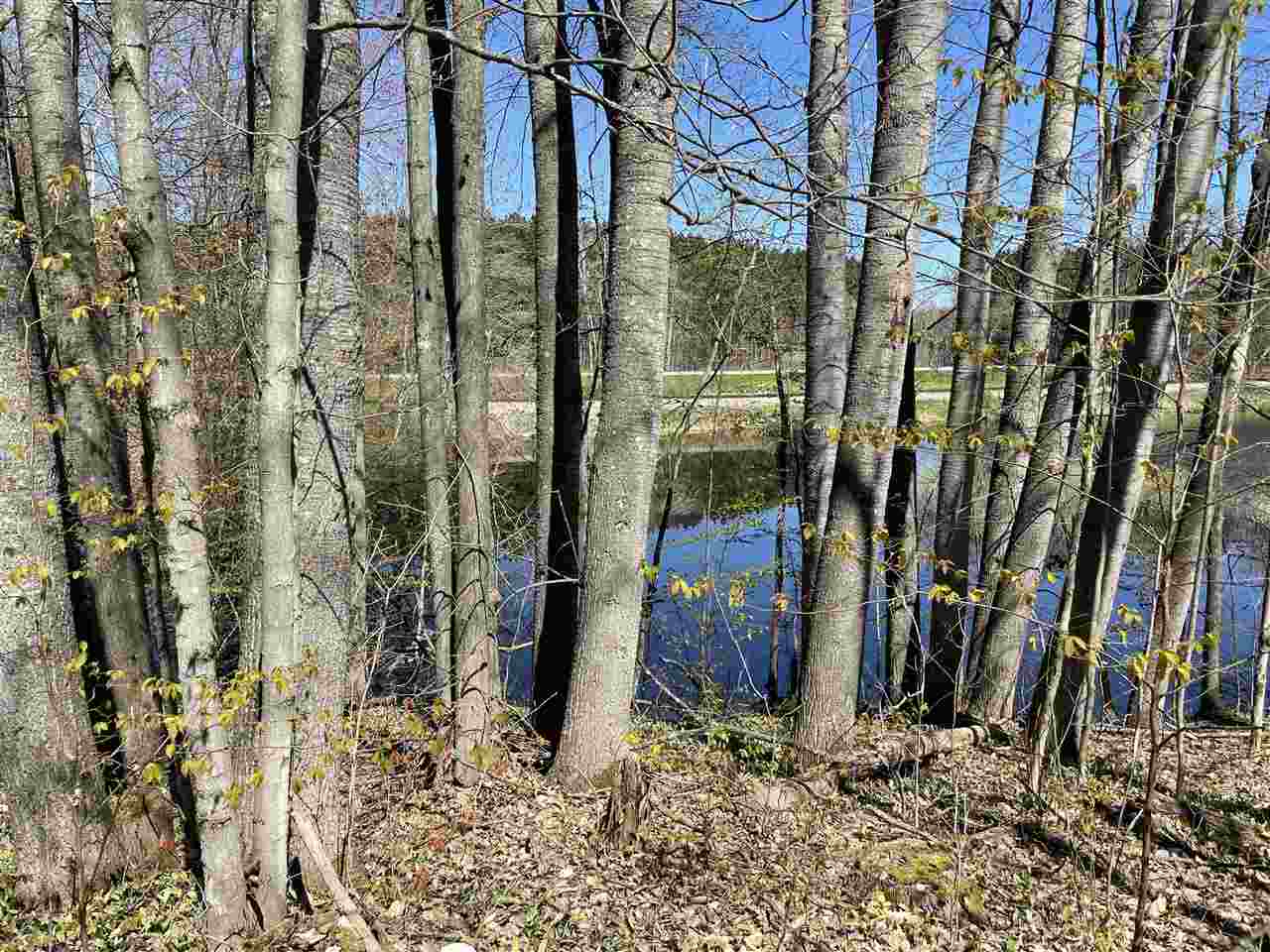 10-acres Inman Road Southwest Fife Lake, MI 49633 - Photo 26 of 32 Gallery Image 26