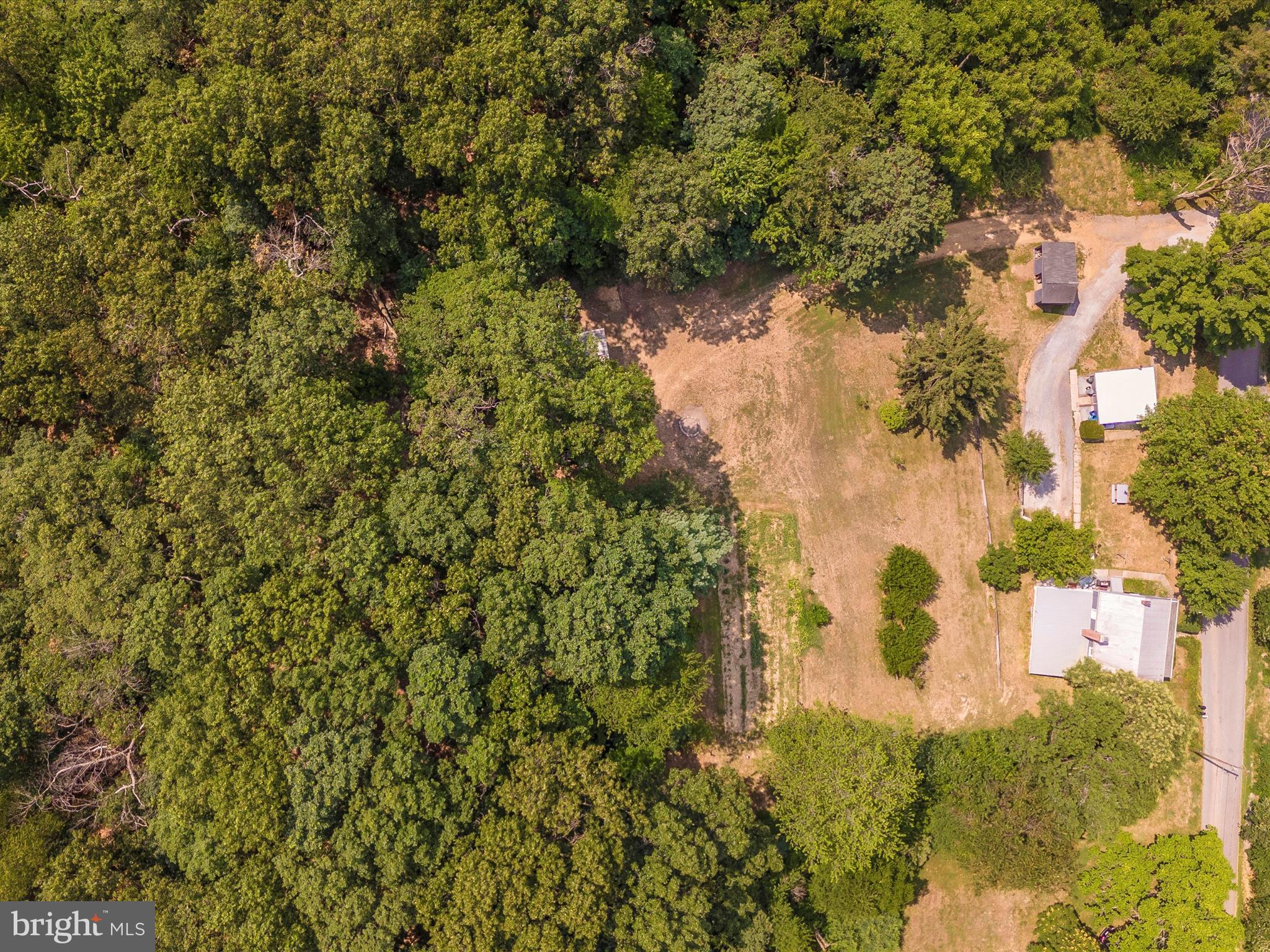 5905 Clevelandtown Road Boonsboro, MD 21713 - Photo 54 of 54 a view of a yard with plants and large trees