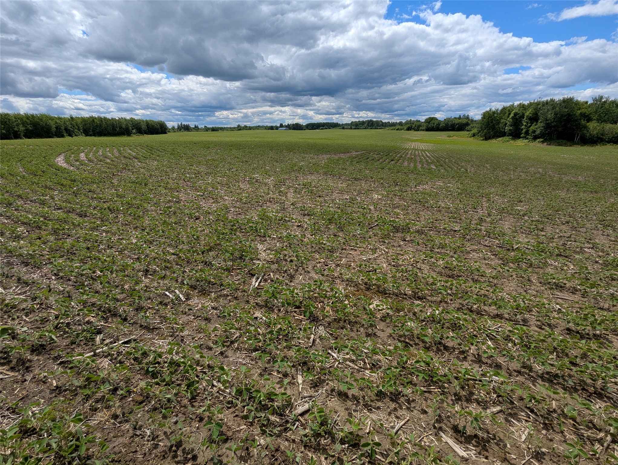 N4180 Wilderness Road Glen Flora, WI 54526 - Photo 13 of 29
