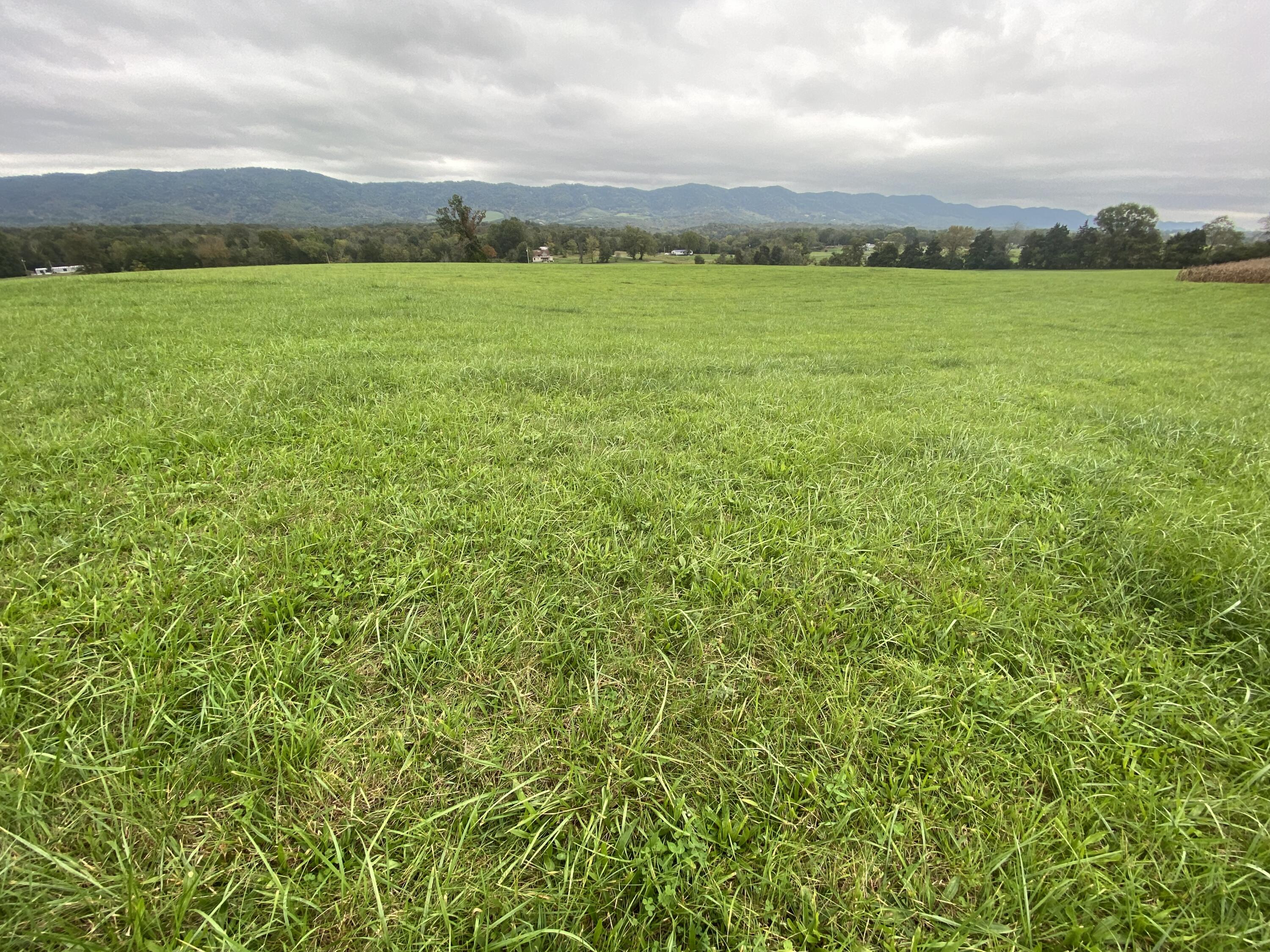 Tbd Flatwoods Road Rose Hill, VA 24281 - Photo 1 of 16 39BCDD1C-D3BD-4C93-97D3-5CACE6E4D75B