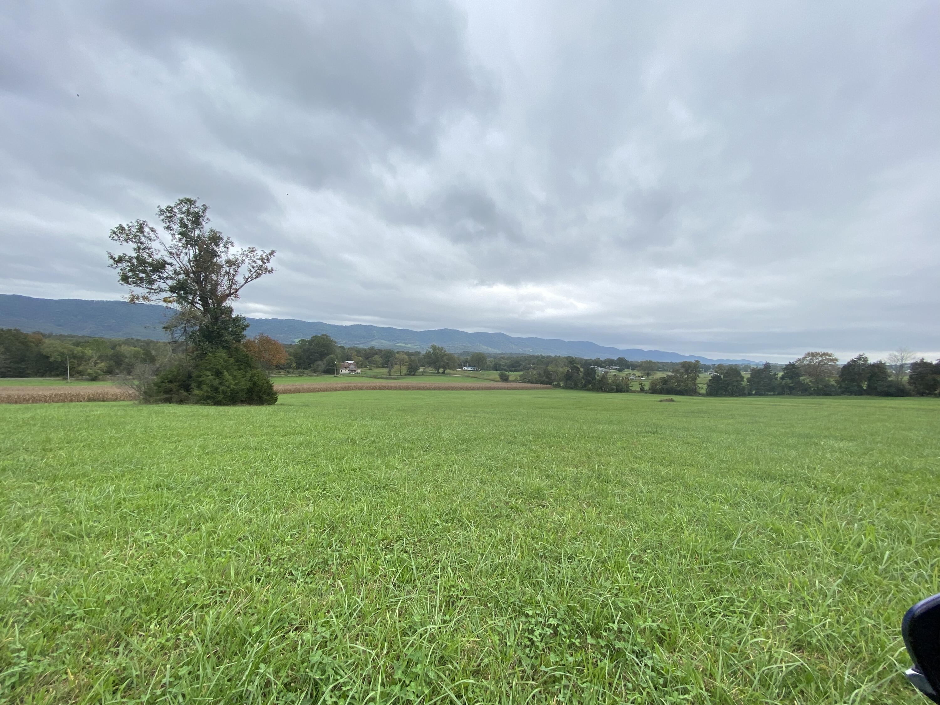 Tbd Flatwoods Road Rose Hill, VA 24281 - Photo 11 of 16 37753792-DD62-436C-B41E-47A41F06D8D4