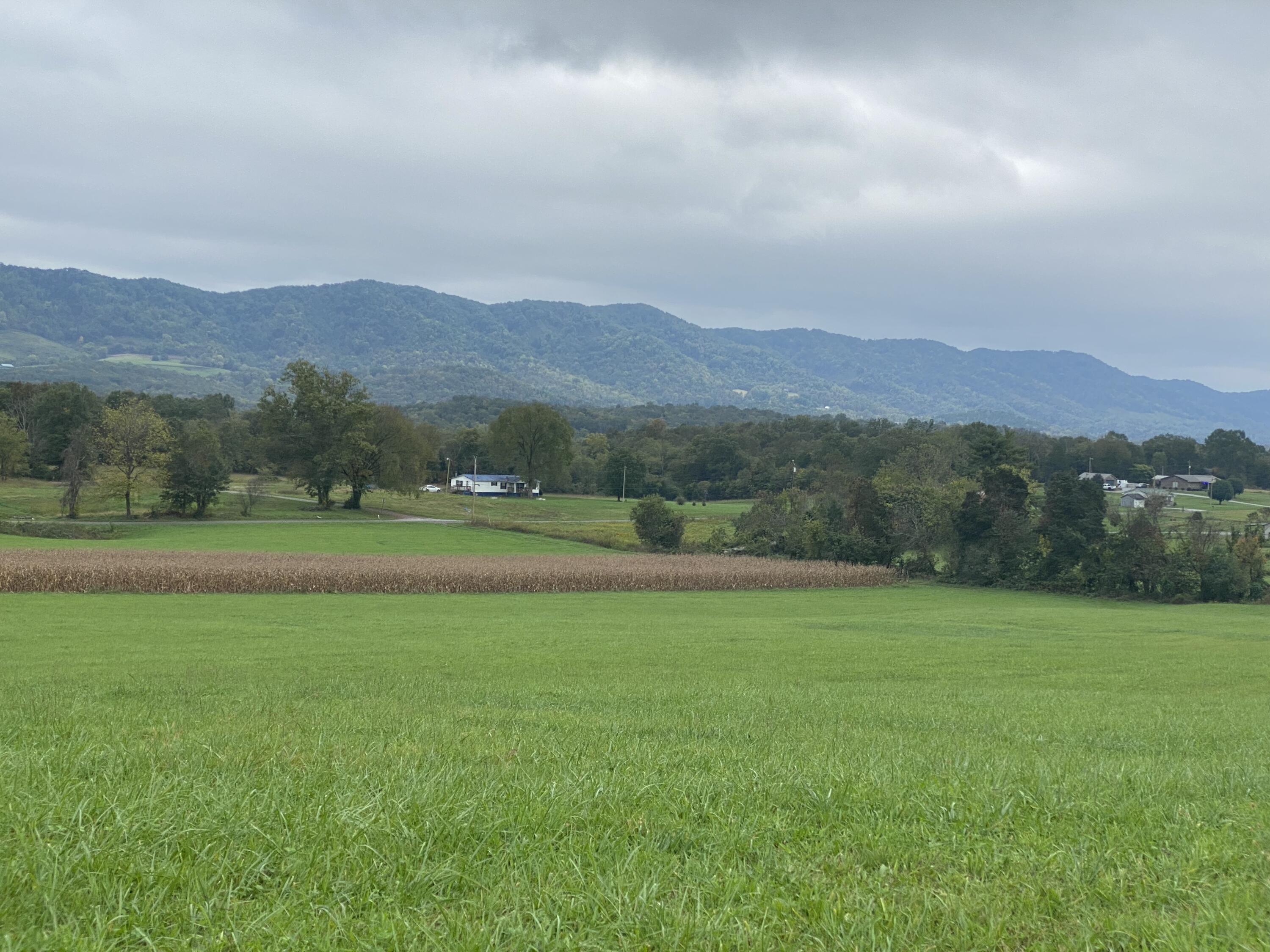 Tbd Flatwoods Road Rose Hill, VA 24281 - Photo 12 of 16 055E33C4-555B-4E2A-BFD0-1F84AF5B6124