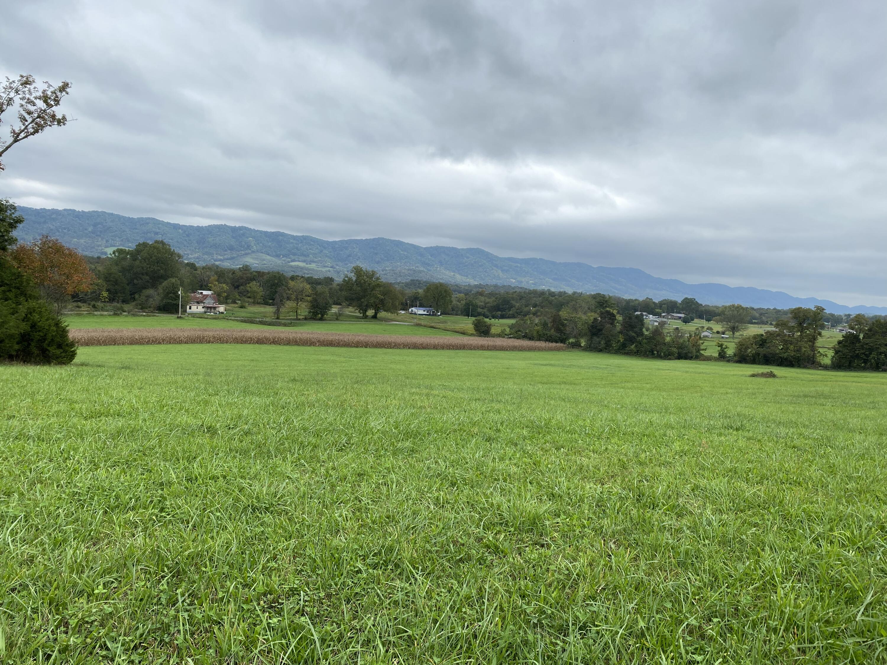 Tbd Flatwoods Road Rose Hill, VA 24281 - Photo 13 of 16 E63AC507-423C-413A-8E56-EF721E63FD7E