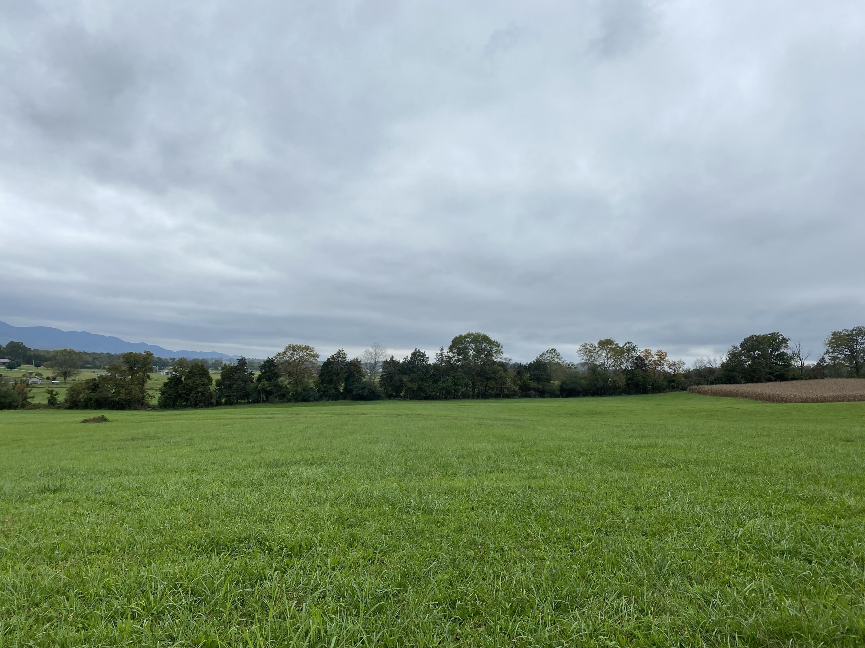 Tbd Flatwoods Road Rose Hill, VA 24281 - Photo 14 of 16 3A088A6E-2D2B-41D0-8EC8-67E8ED826B8A