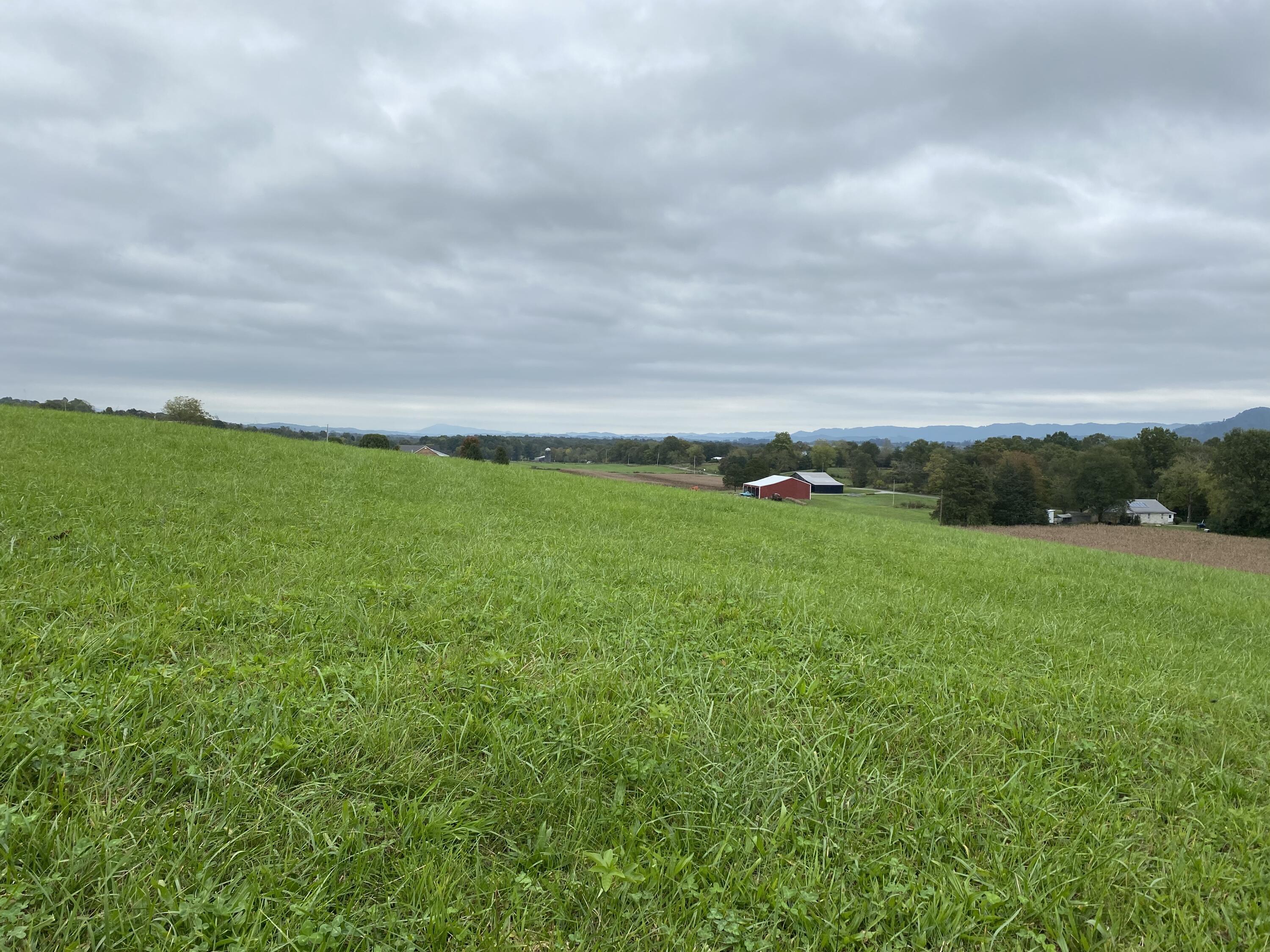 Tbd Flatwoods Road Rose Hill, VA 24281 - Photo 15 of 16 507AB74F-C030-4991-975E-E477D1E0FA88