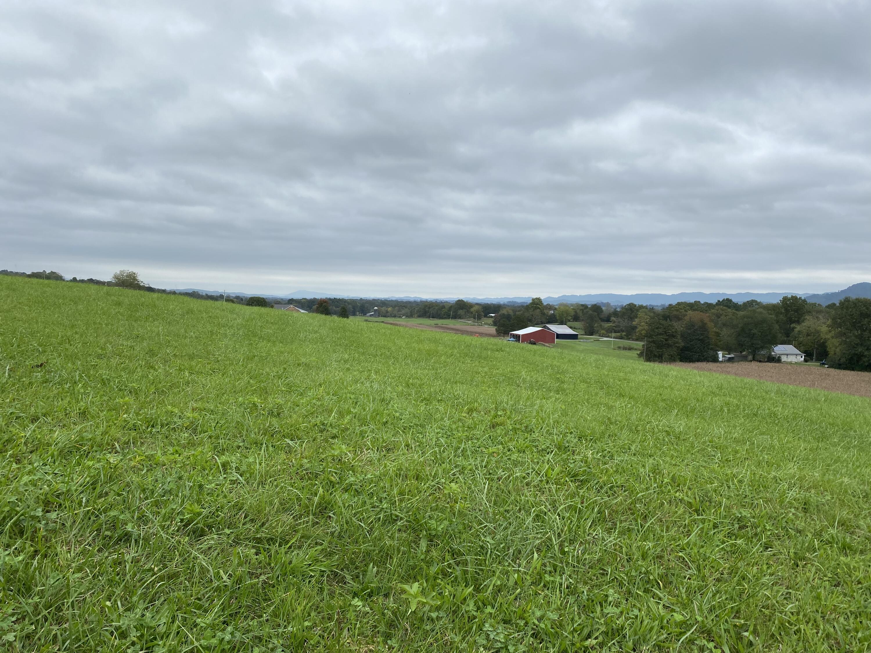Tbd Flatwoods Road Rose Hill, VA 24281 - Photo 16 of 16 5C99E1BE-A1D7-4C7C-B0E1-B02A0721A7EC