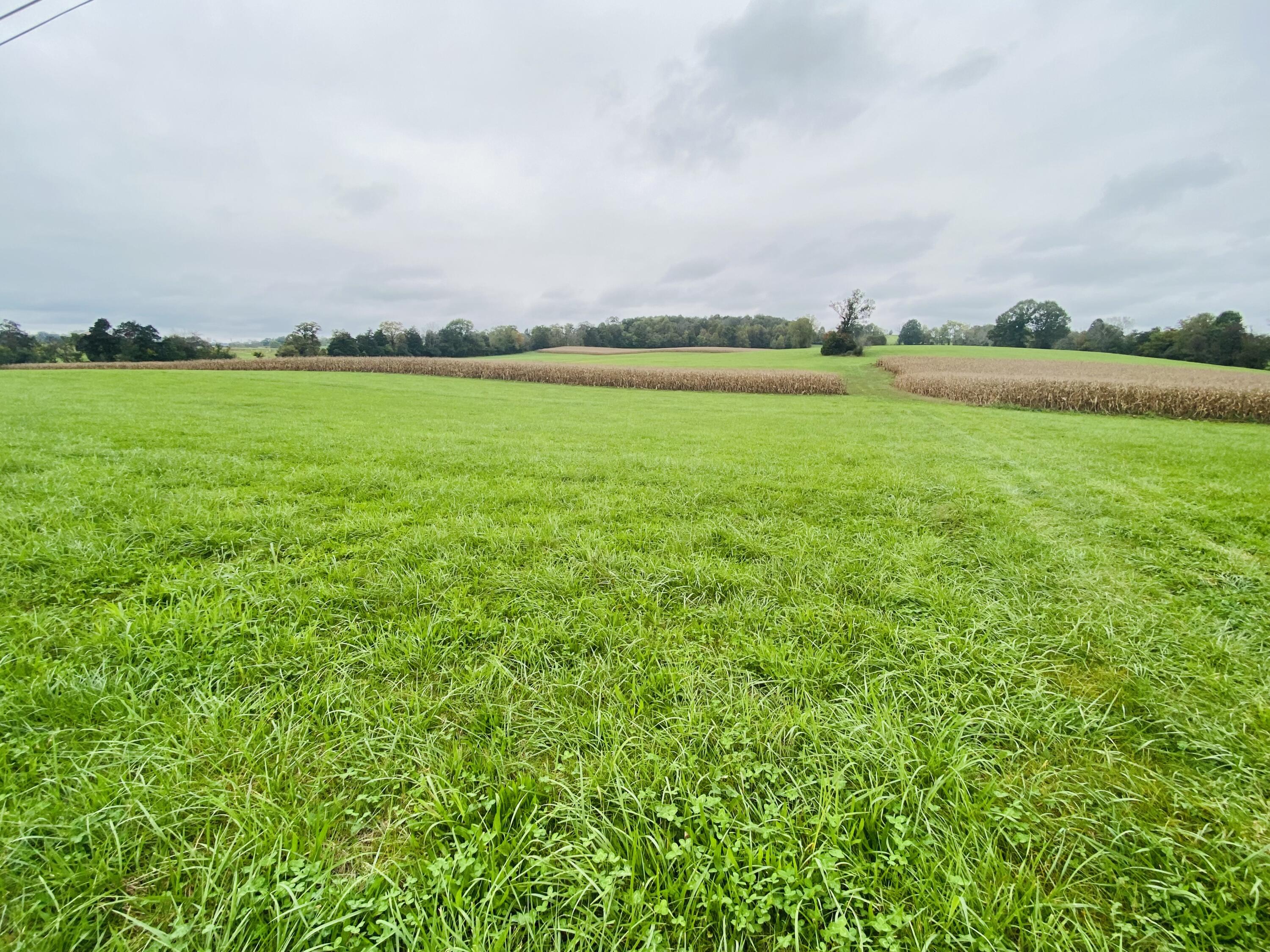 Tbd Flatwoods Road Rose Hill, VA 24281 - Photo 3 of 16 D71F84AF-B816-4139-97C0-15743DD44EC0